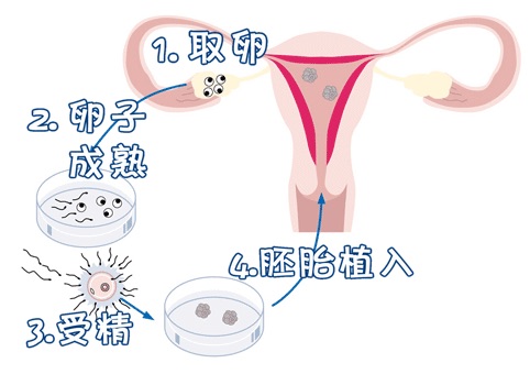 王建国